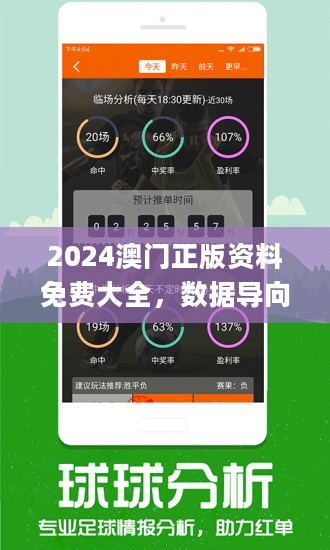 新澳2024资料免费大全版26333,精细执行计划_标准版83.284