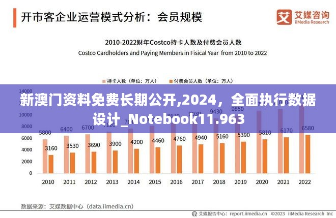 澳门正版精准免费大全,全面实施数据策略_终极版17.966