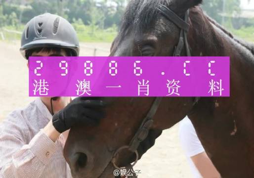 今晚澳门必中一肖一码适囗务目,全面数据策略解析_4K版85.448