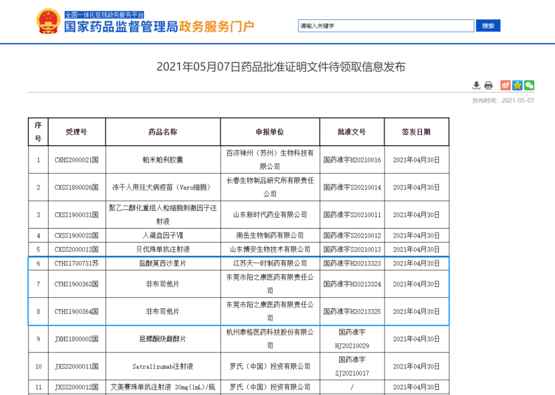 药品批件下载全流程与实践指南，要点详解及操作指南