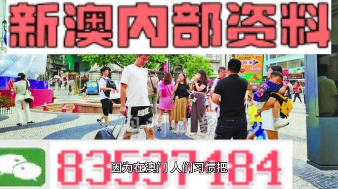 2024新澳精准资料大全,连贯性执行方法评估_Android256.183