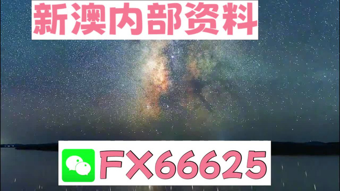 新澳天天免费资料大全,动态词语解释落实_专业版6.713