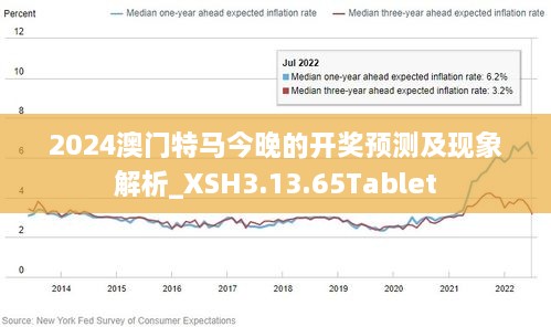 2024年澳门特马今晚,定性解析说明_Lite40.58