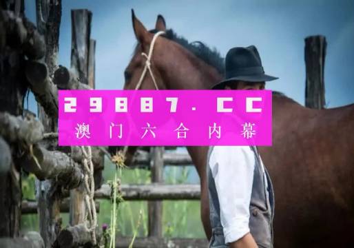 今晚一肖一码澳门一肖com,实地方案验证_轻量版65.566