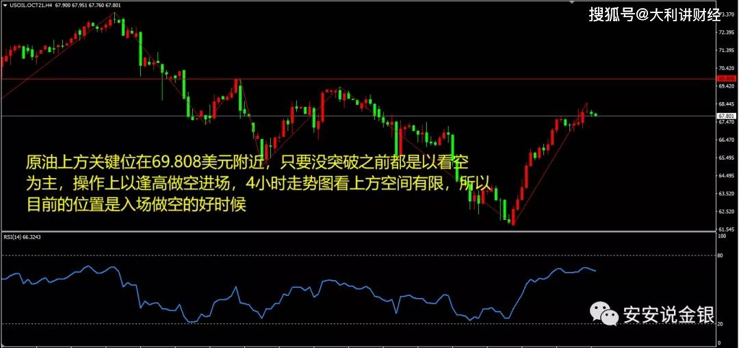 三肖必中三期必出凤凰网2023,高度协调策略执行_模拟版9.232