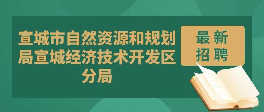 嵩县自然资源和规划局最新招聘公告解读