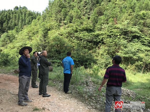 通道县播阳农场最新动态报道