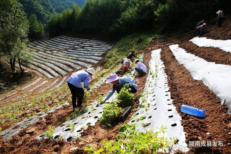 宋坪村交通新动态，现代化步伐与乡村振兴的交汇点