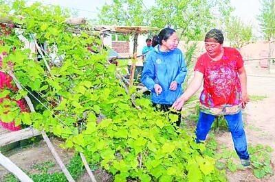 红旗村委会最新动态报道