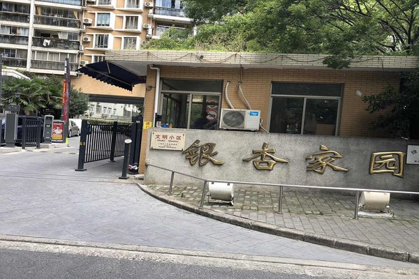 银杏园社区新项目，重塑城市生活品质典范