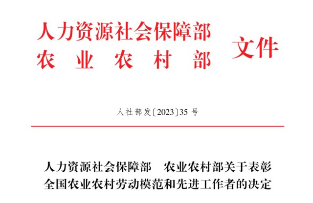 龙凤区农业农村局人事任命揭晓，塑造农业未来新篇章