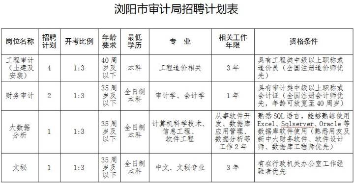 湖滨区审计局最新招聘启事概览