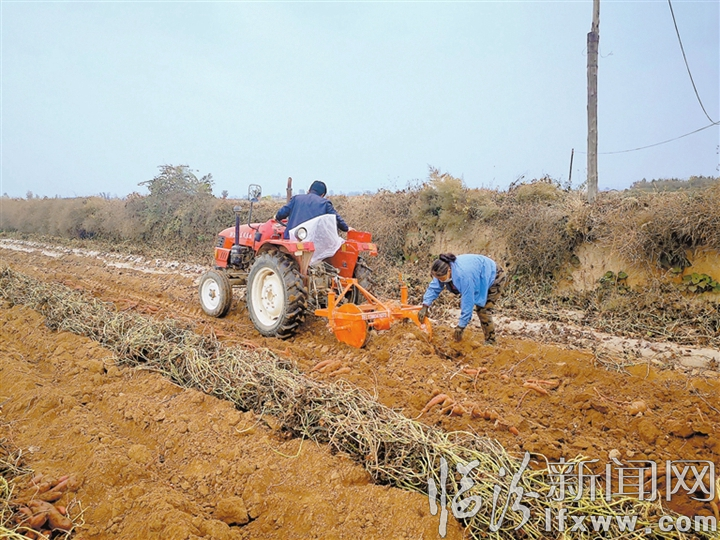 洪洞县淹底乡最新招聘信息汇总