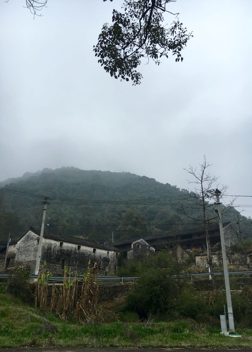 大龙山镇天气预报更新通知