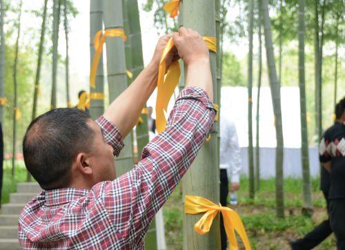 龙山区殡葬事业单位招聘信息与职业前景展望