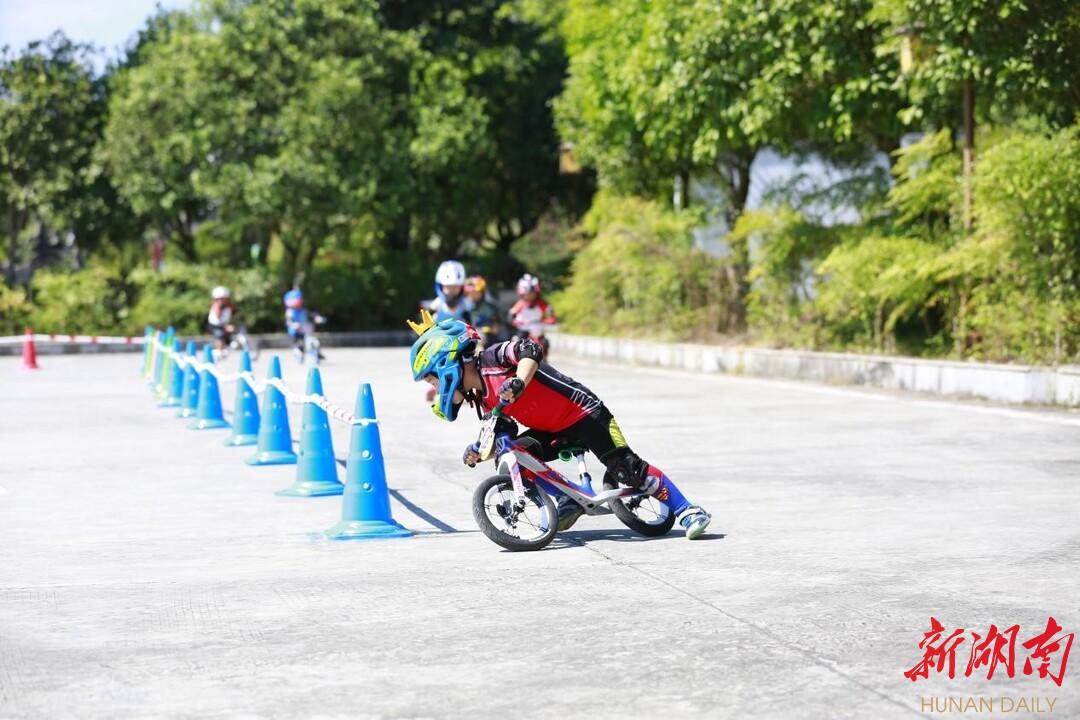 龙山县计生委最新领导团队概况