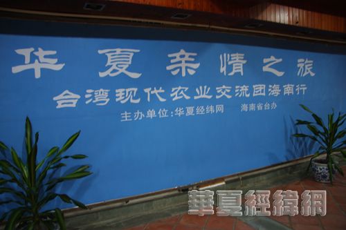 泉港区人民政府办公室领导团队全新亮相，未来工作展望与战略规划