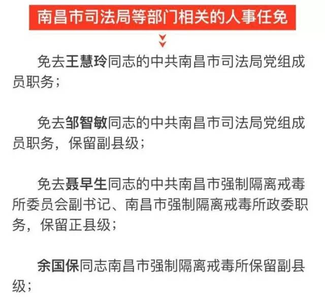 荷塘区科技局人事任命动态，最新进展与未来展望